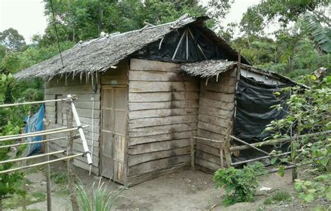 Maybe you would like to learn more about one of these? Rumah Gubuk Orang Miskin - Toko Pedz