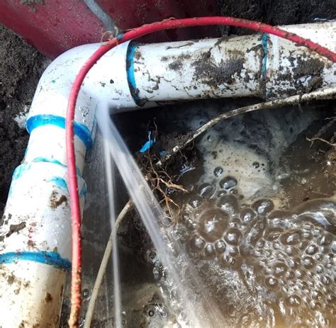 Our 100% no risk guarantee! Sprinkler System Inspection - Sun Power Lawn Care - Lawn ...
