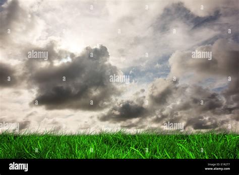 Green Grass Under Grey Sky Stock Photo Alamy