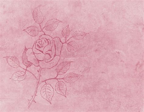 Rose Tattoo Pink Background Free Stock Photo Public Domain Pictures