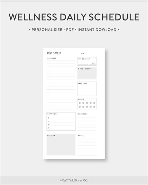 Daily Schedule Template Daily Planner Printable Planner Calendar