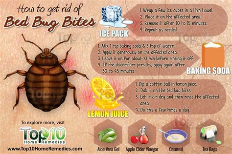 How To Get Rid Of Bed Bug Bites Top 10 Home Remedies