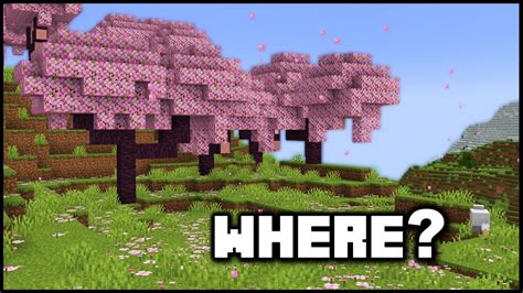 Minecraft How To Find The Cherry Grove Biome Java Bedrock