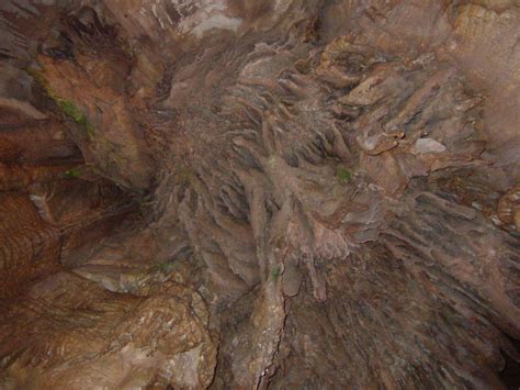 Mammoth Caves National Park Jewel Of Kentucky National