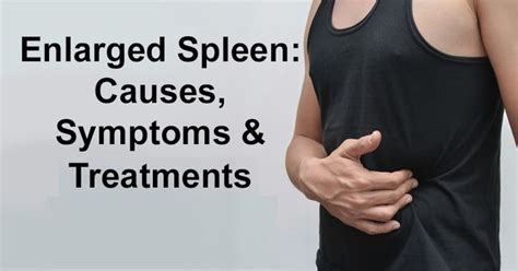Although each rib has its own rom (occurring primarily at the costovertebral joint), rib cage shifts occur with movement of the vertebral column. What is the spleen and what causes an enlarged spleen ...
