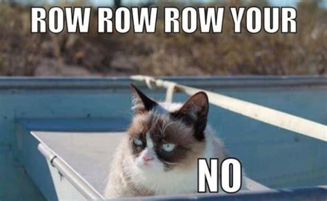 Of The Funniest Grumpy Cat Memes