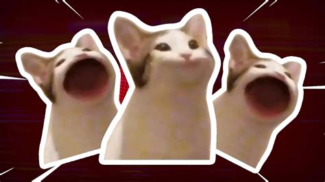 🔥 Free Download Touch Tone Cat Pop Pop Cat Know Your Meme 1280x720