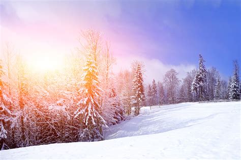 Winter Magic Clouds Snowy Splendor Time Landscape Lovely Snowflakes