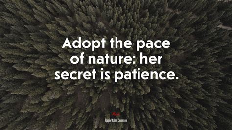 Adopt The Pace Of Nature Her Secret Is Patience Ralph Waldo Emerson Quote Hd Wallpaper