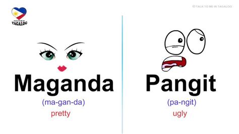 Basic Filipino Tagalog Adjectives With Exercises Duolingo Vrogue