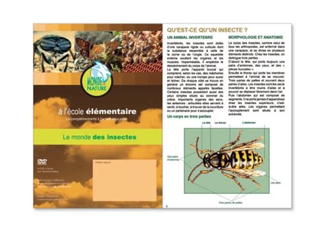 Livret Pédagogique Le Monde Des Insectes Le Monde Des Insectes