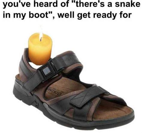 Memes Youve Heard Of Theres A Snake In My Boot Well Get