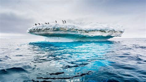 Southern Ocean มหาสมุทรลำดับที่ 5 ของโลกอย่างเป็นทางการ Pantip