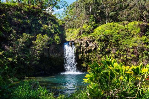Waterfall On Hawaii Stock Image Colourbox