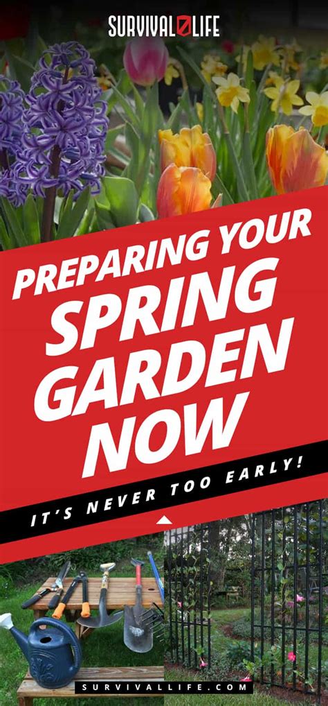 Preparing Your Spring Garden Now Its Never Too Early