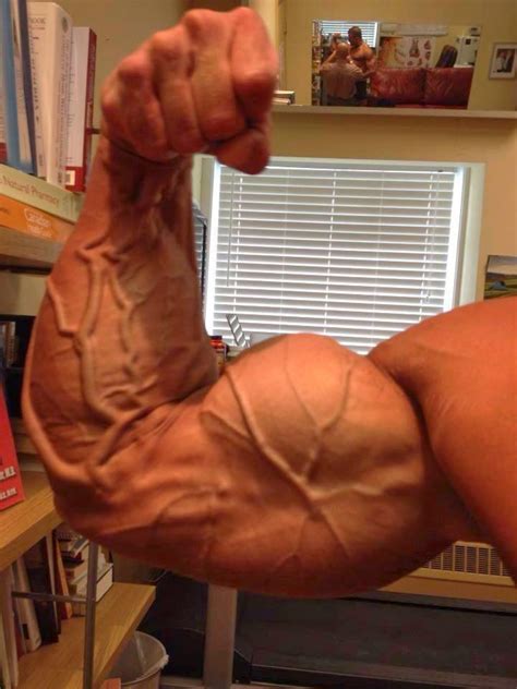 Vascular Bodybuilding Muscle Stop Extremely Vascular Biceps Flex