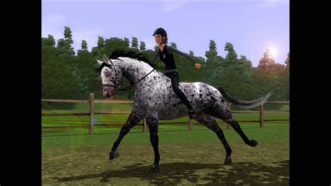 Sims 3 Horse Appaloosa Stallion Rw Hot Spot Youtube