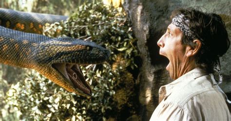 Quand le python géant attaque la terreur Vivre des scènes