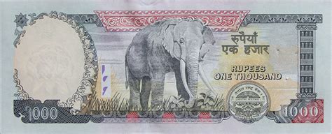 We offer direct deposits to all major banks or your recipients can pick up cash at 4,663 locations. 1,000 Rupees - Nepal - Numista