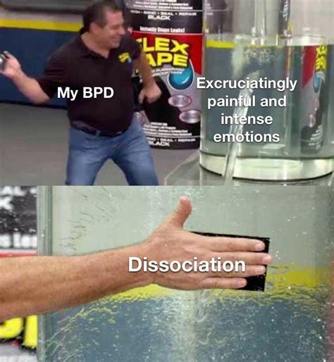 Dissociation Is In Regulating Emotions Is Out R Bpdmemes