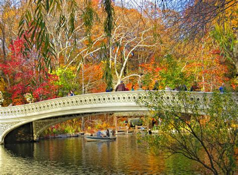 Central Park Bow Bridge Autumn Happy Thanksgivingxxoo Flickr