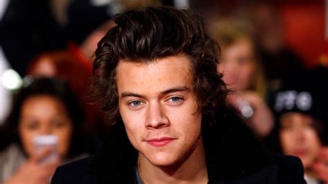 One Direction Star Harry Styles Fan Attacke Auf Der Bühne Prosieben