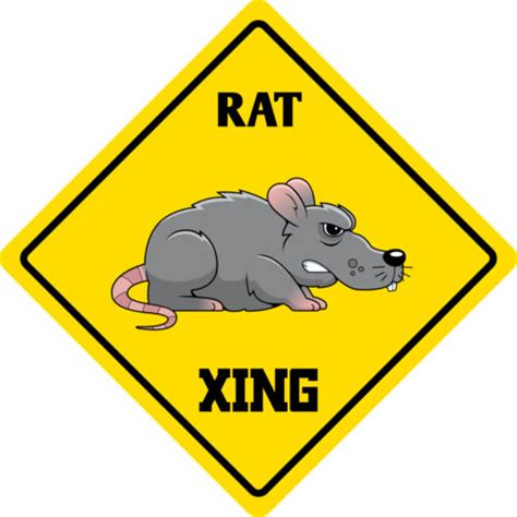 Aluminum Rat Crossing Funny Metal Novelty Sign 12x12 Ebay