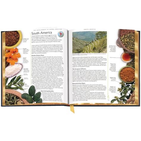 The Encyclopedia Of Herbal Medicine