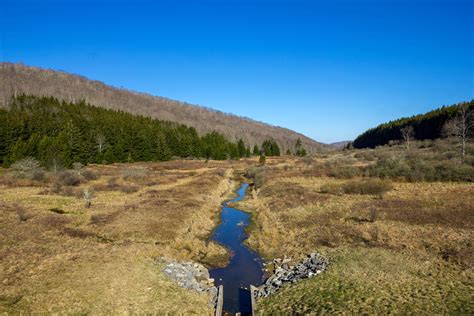 Landscapes And Hill Around Spruce Knob Lake West Virginia Image Free