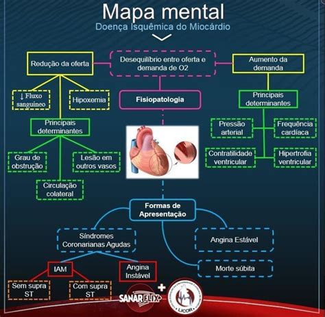 Pin Em Medicina Mapas Mentais