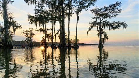 5 Must Visit Parks In Louisiana