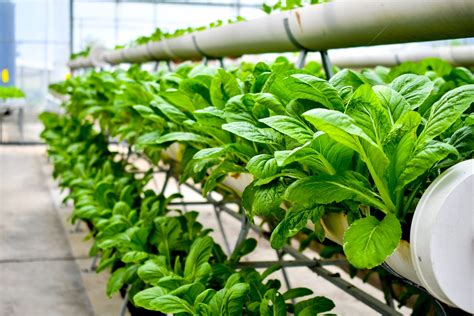 Types Of Growing Systems In Vertical Farming Lab Associates
