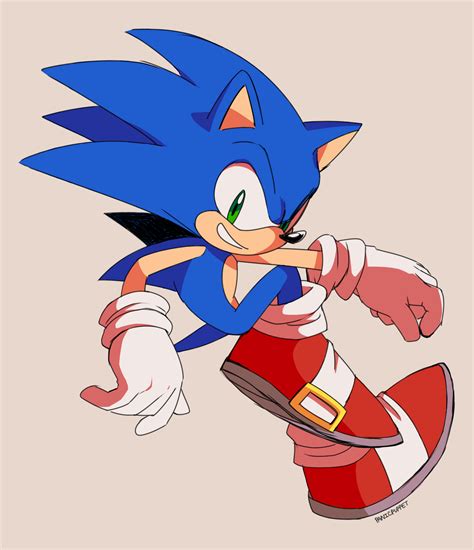 Pin By Arty Torres On Hedgehogs In 2020 Sonic And Shadow Sonic The
