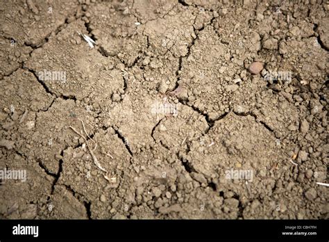 Desiccation Hi Res Stock Photography And Images Alamy