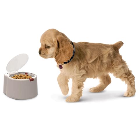 Sealed bowl keeps food fresher and free of flies. The Microchip Activated Pet Feeder - Hammacher Schlemmer