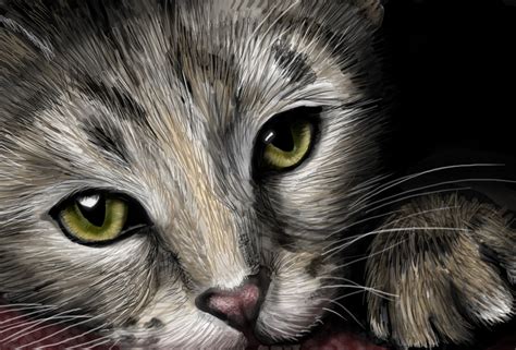732908 Cats Painting Art Eyes Glance Whiskers Nose Mocah Hd