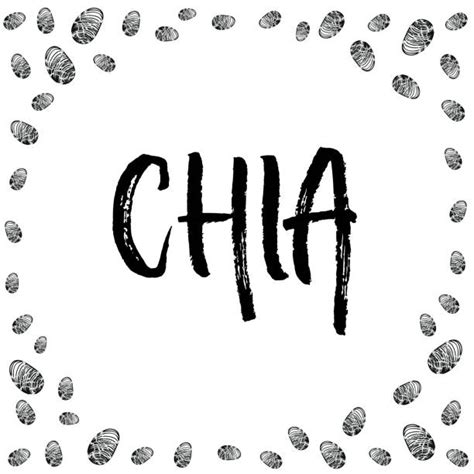 Best Chia Plant Illustrations Royalty Free Vector Graphics And Clip Art