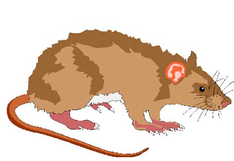 Mouse Animal Clipart Clip Art Library