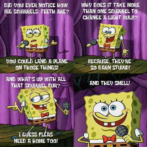 25 Best Spongebob Quotes For Every Occasion All The Best Ones