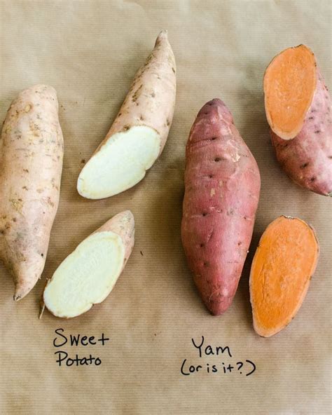 Importance Of Yam 9 Surprising Health Benefits Of Eating Yams 2022 11 27