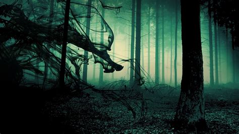 Mystery Forest Wallpapers Top Free Mystery Forest Backgrounds