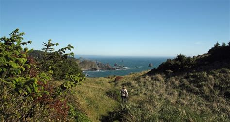 The area is full of huge sitka spruce trees, rugged coastline, and small sandy beaches. Samuel H. Boardman State Scenic Corridor - Oregon State ...