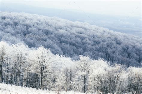 View Above Frozen Forest In Winter Fantasy Landscape Stock Photo By