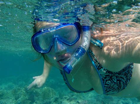Fotos Gratis Mar Biología Nadando Nadador Buzo Tubo Respirador Deportes Bucear Deporte