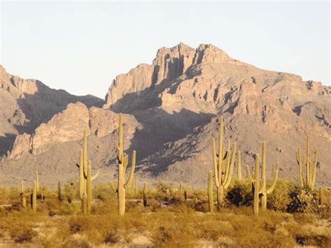 Climatogram Of Desert Griffin Hader Biome Site
