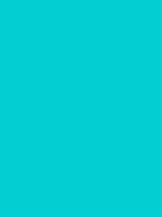 These color codes can change the color of the background, text, and tables on a web page. Dark turquoise / #00ced1 hex color