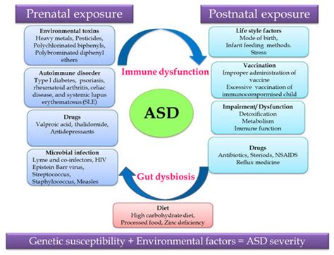 Autism Spectrum Disorder Encyclopedia Mdpi