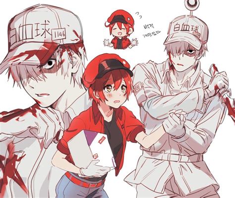 Cells At Work White Blood Cells Anime Blood Cells