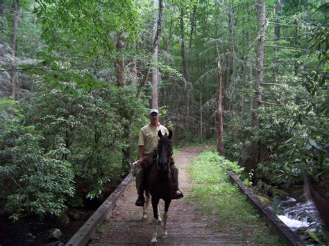 Bryson City Ncdeep Creek Horse Camp Flickr