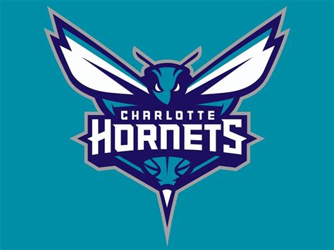 Charlotte Hornets Wallpapers Wallpaper Cave